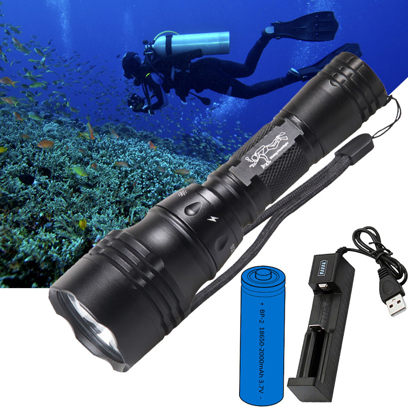 ไฟฉายดำน้ำแบบพกพา 10W T6 L2 LE - Fish Finder Charger บทวิจารณ์และราคา